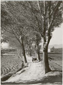 008 Carretera de Borja